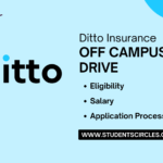 Ditto Insurance Careers